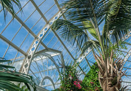 Sefton Park Palm House
