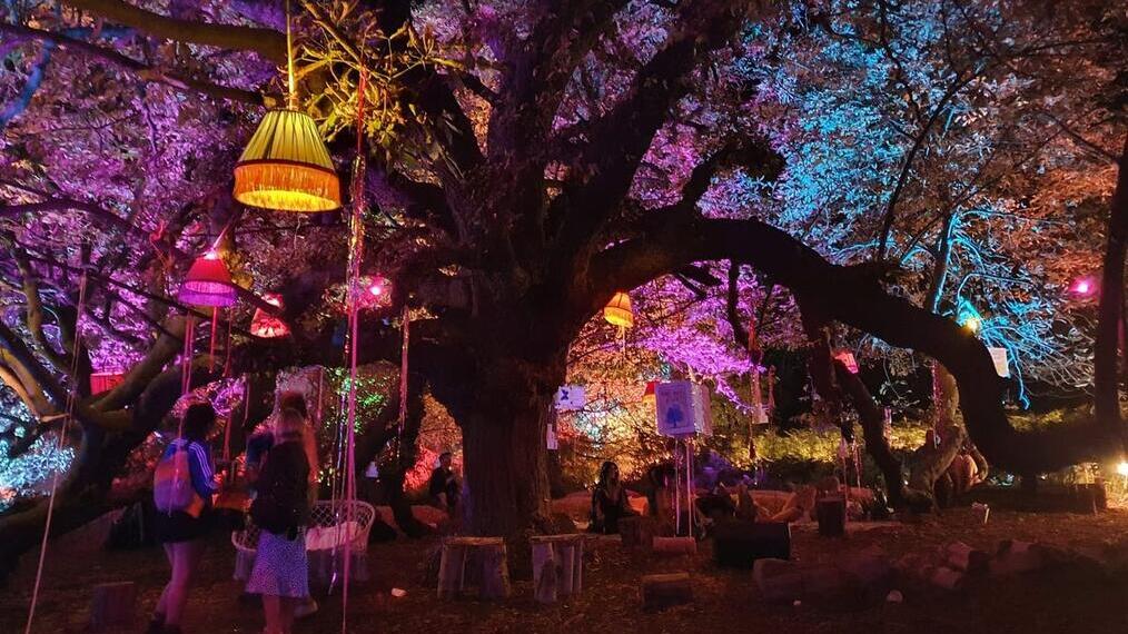 Des personnes debout sous un arbre la nuit, éclairées par des lanternes