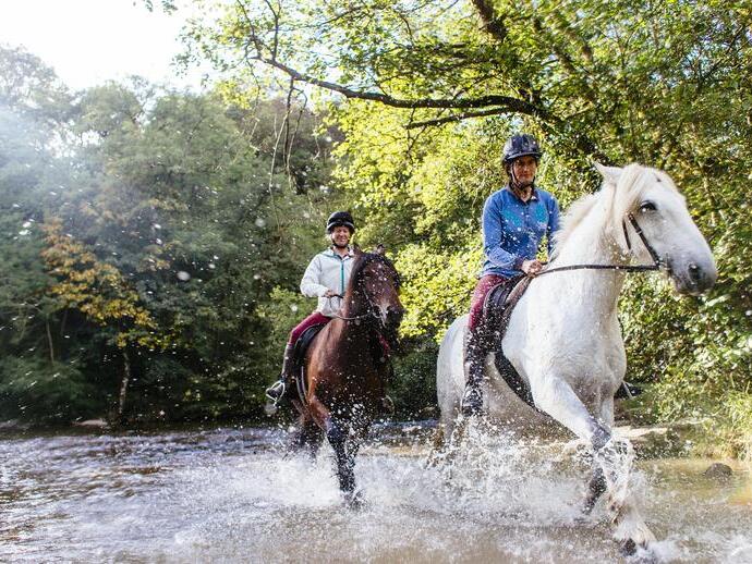 Horses and riders trotting through the shallow water.