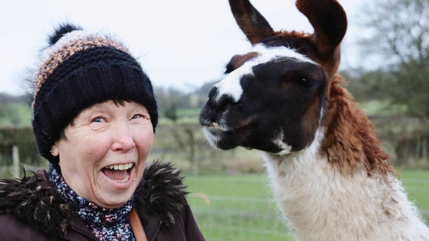 Una mujer posando con una alpaca en la granja Middle England Farm