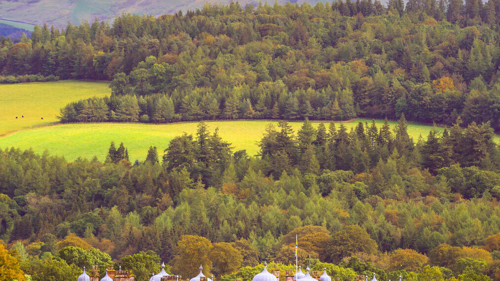 Außenansicht eines Sandsteinpalastes mit verzierten Türmchen, umgeben von Wald und hohen Bergen in der Ferne im Herbst.
