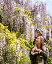 Woman and child looking at tree blossom