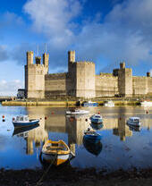 Rowing boats on the water in front of a large castle