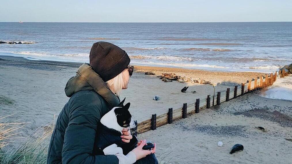 Cachorros de foca en la playa de Horsey