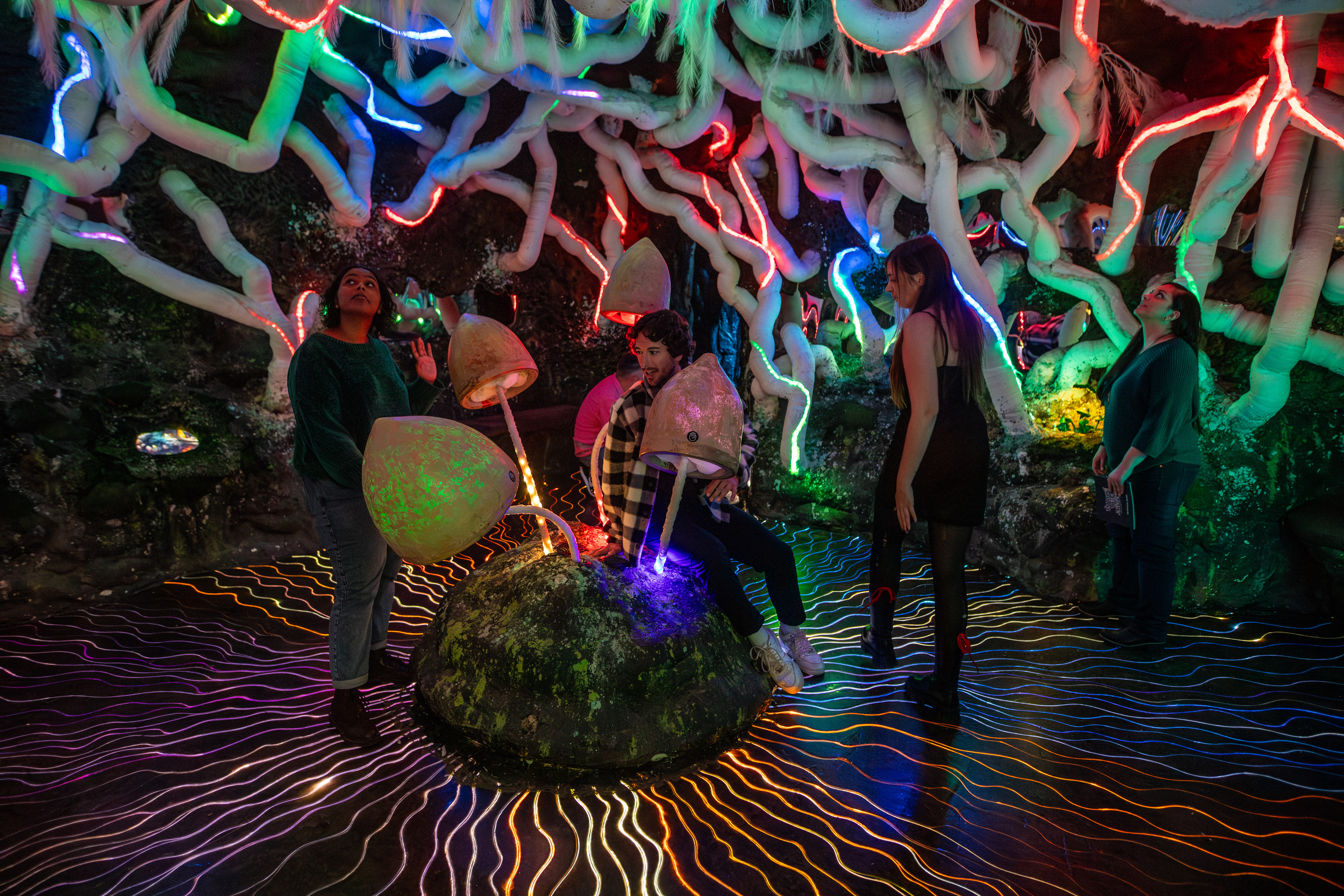 Mensen in een kamer met neonverlichting, grote paddenstoelen en vertakte structuren.