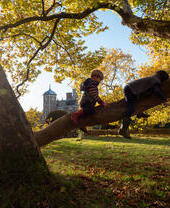 Children climbing on the big plane tree in the garden at Blickling Estate, Norfolk