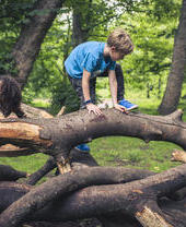 Children climbing over a fallen branch in Heaton Park, Newcastle