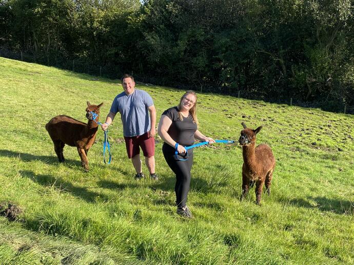 Alpaca Experience at Naze View Farm