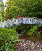 Pixie Glen new bridge, Lydford Gorge