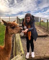 Woman feeding a llama from her hand