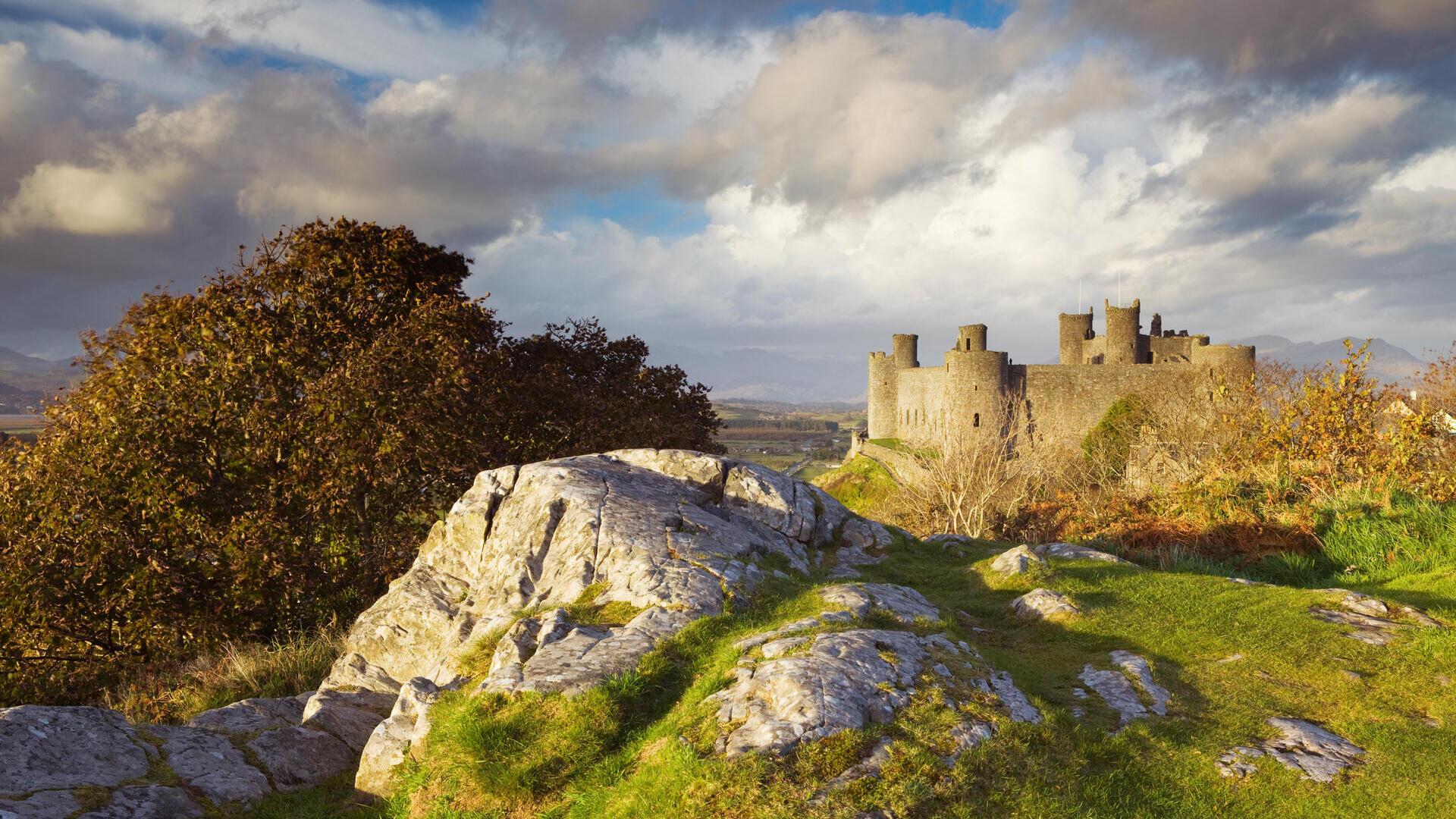 A castle standing on a grassy hilltop with surrounding blue skies and clouds.