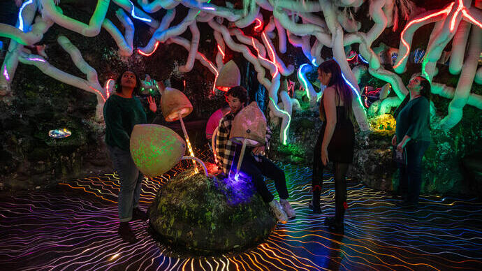 Group of friends observing an immersive art installation with glowing jellyfish and tree like structures
