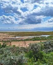 Coastal landscape with sandy beach, green vegetation, shallow pools, and dramatic cloudy sky. No significant buildings visible.