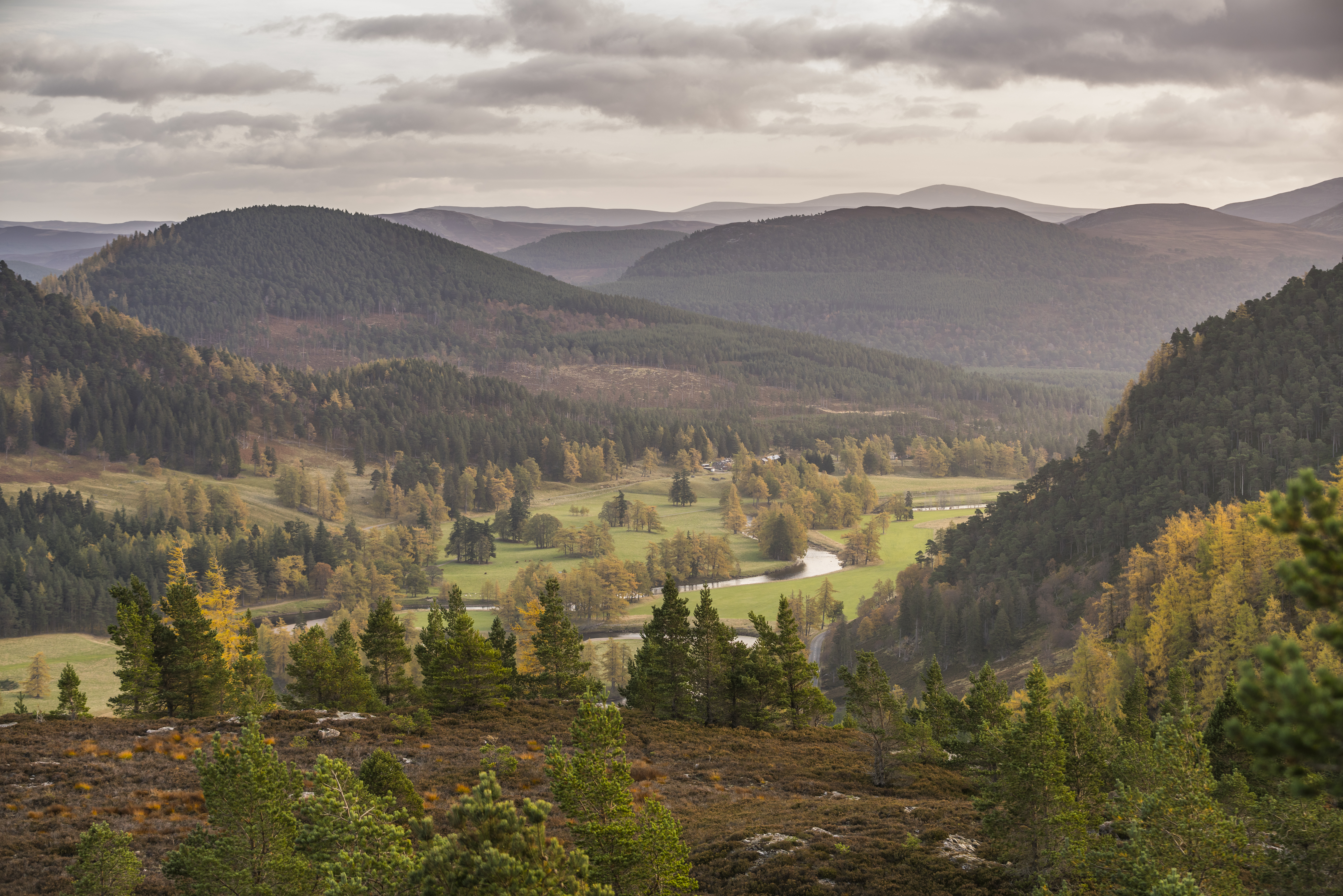 Vue sur les collines et les forêts du parc national de Cairngorms.