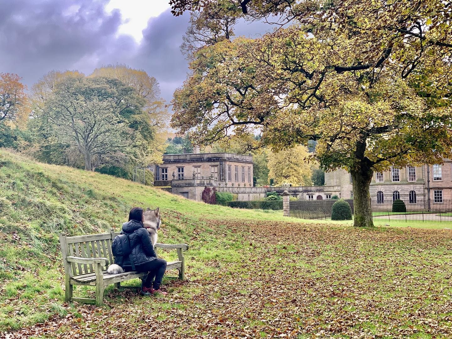Una mujer y un perro sentados en un banco al aire libre en Lyme Park, Cheshire