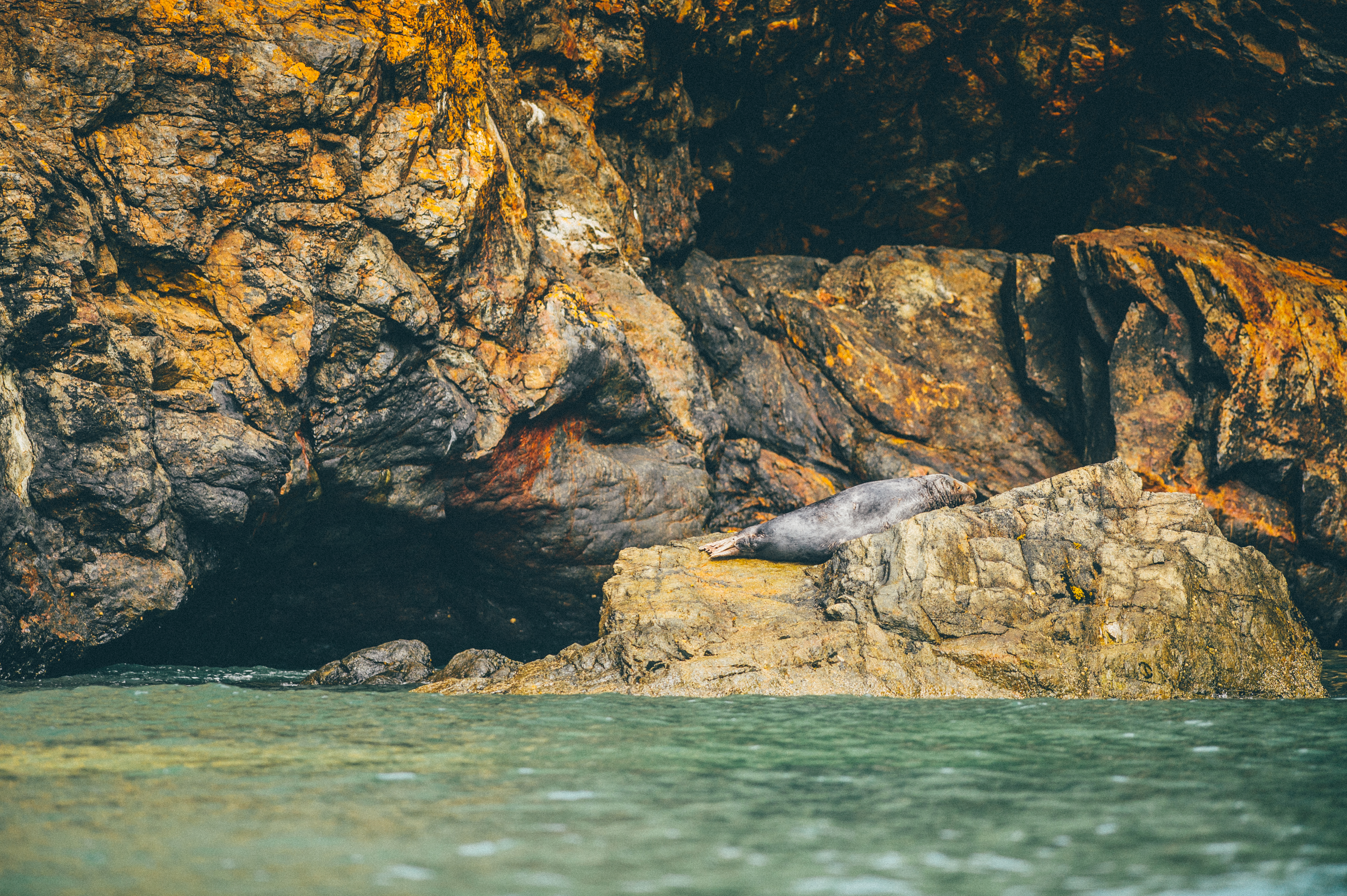 Ramsay Island Boat Trips
