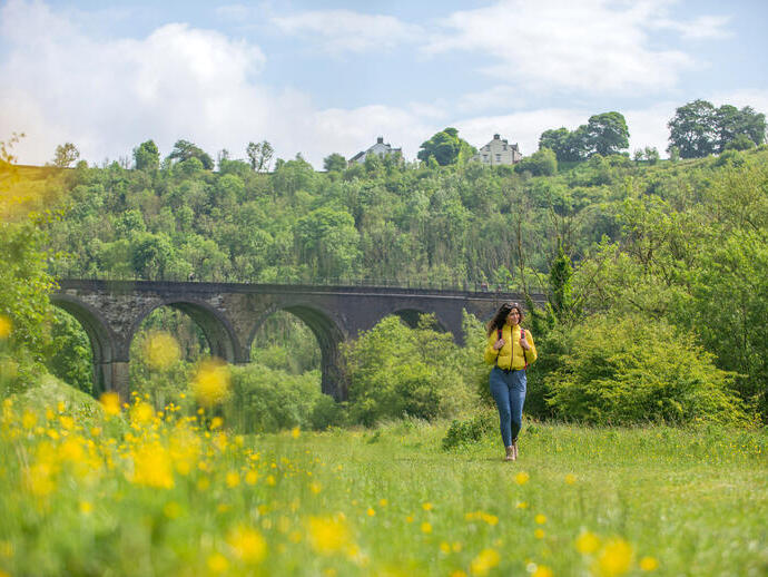 A woman walks in a field in front of a viaduct