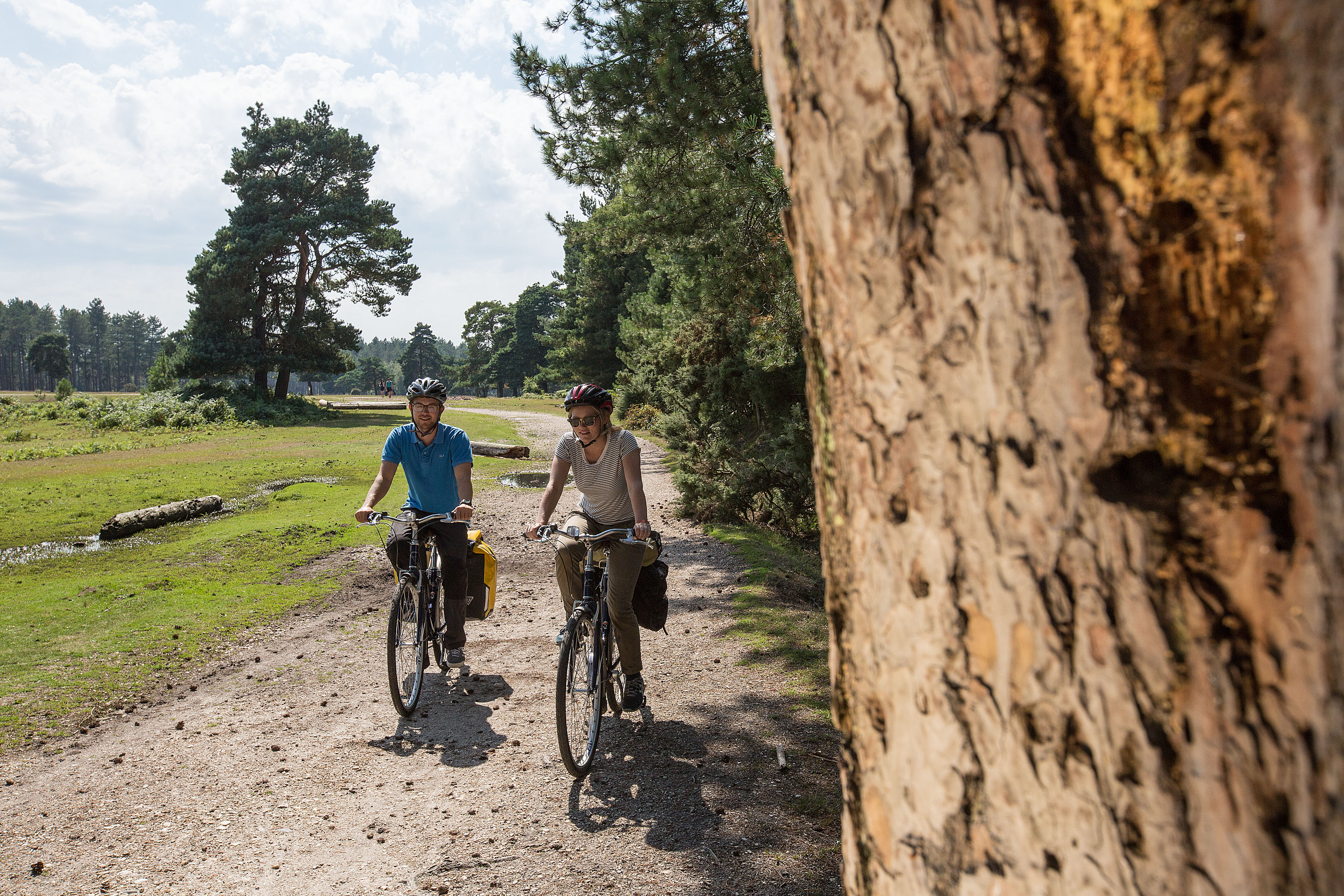 Two people cycling past a tree on a trail in the New Forest.