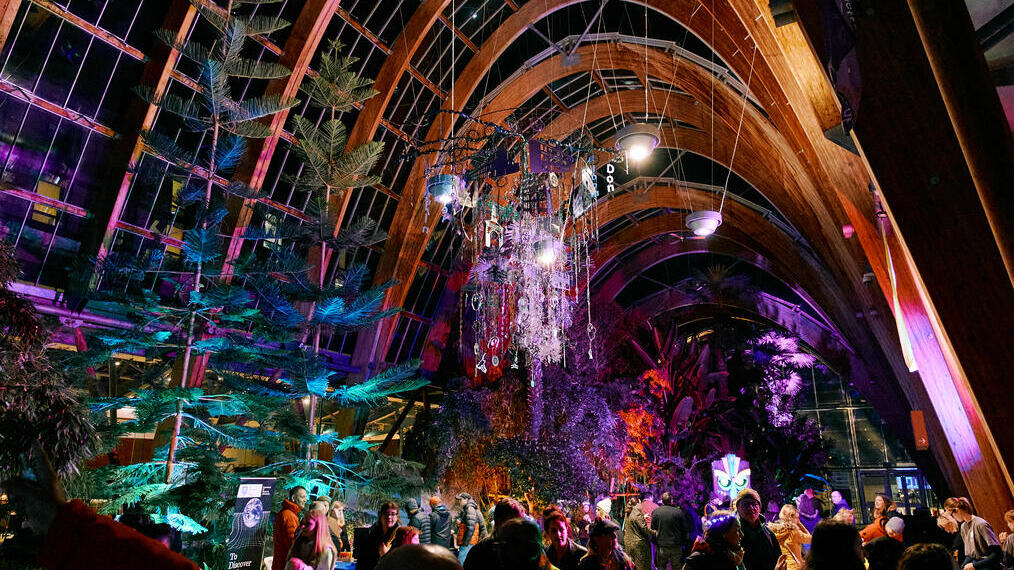 An art display at night inside Sheffield Winter Garden