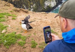 Skomer Island