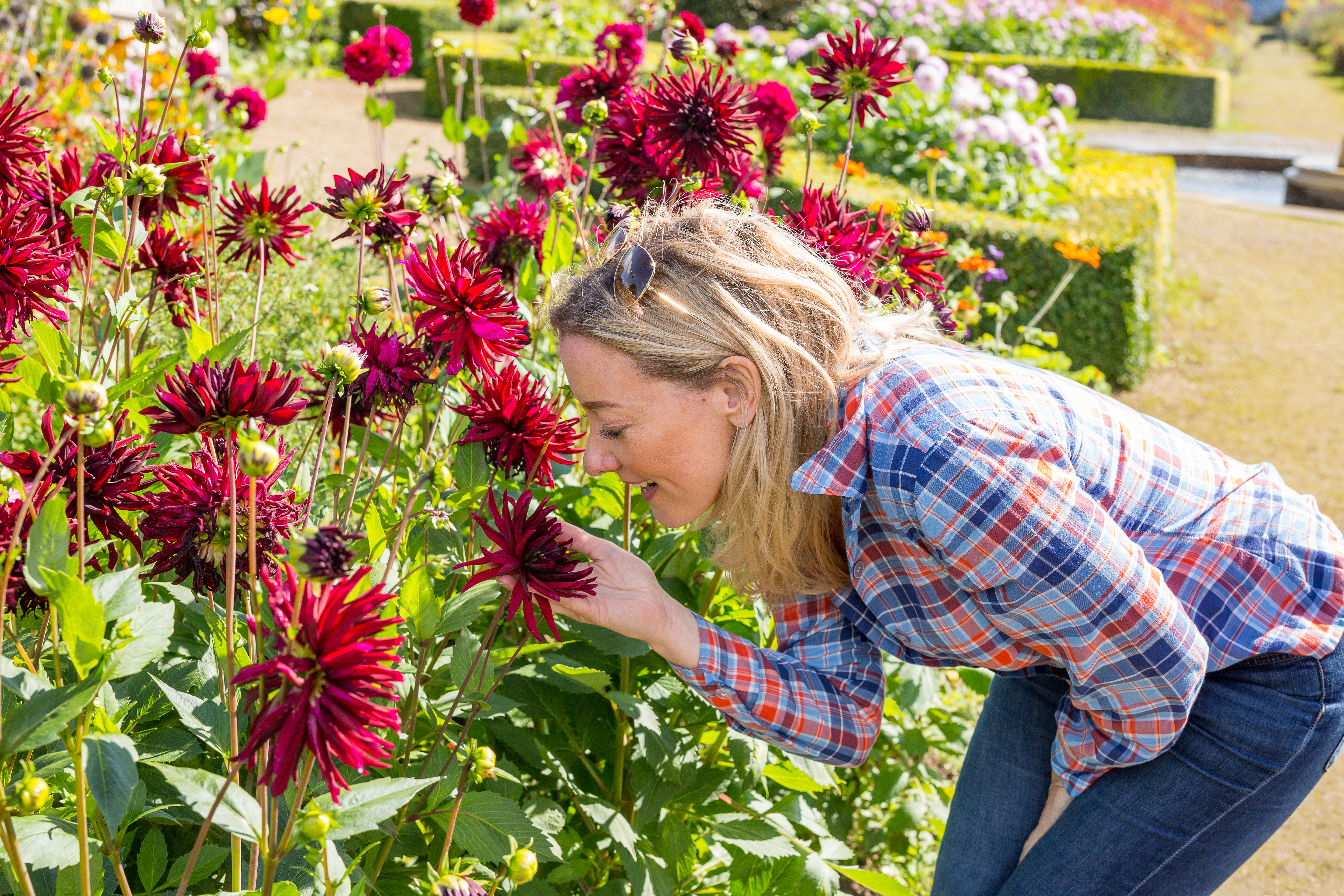 woman smelling flowers at a formal garden