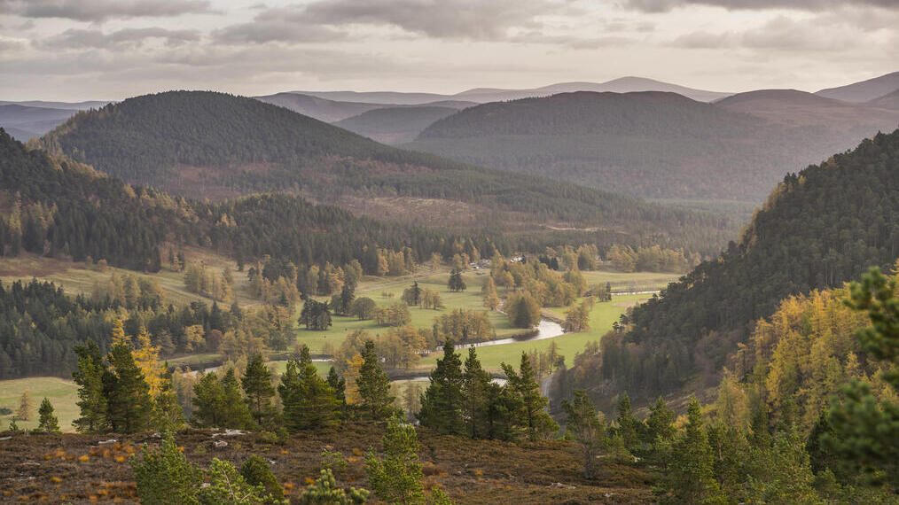 A view across the hills and woodlands of the Cairngorms National Park.