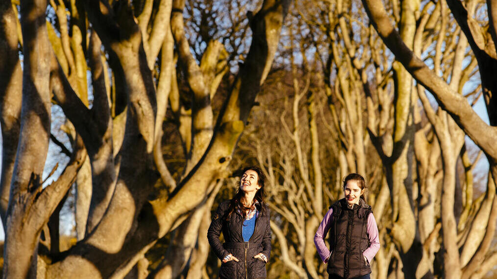 Gente caminando por un sendero entre altos árboles entrelazados