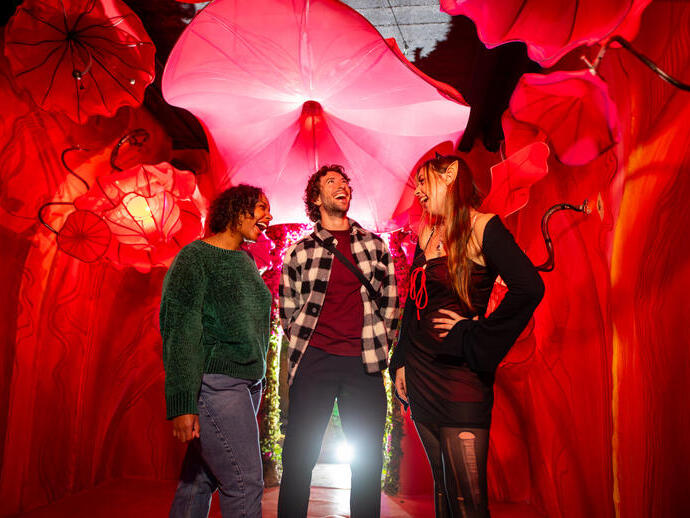 Three friends standing and laughing under a red illuminated canopy