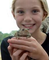 A young girl holding a toad at ReNature Festival