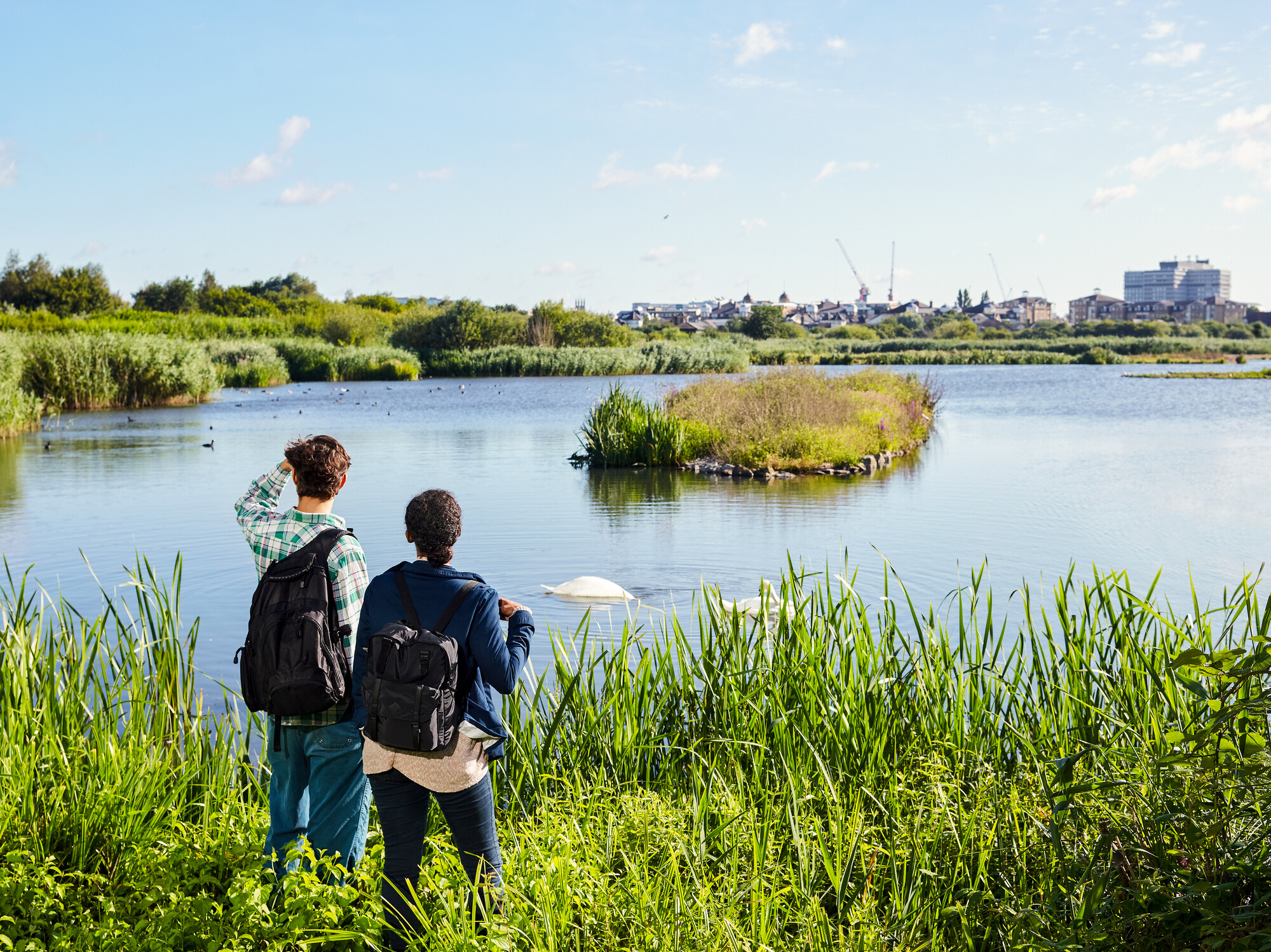 Two people looking out over a lake with swans in the foreground