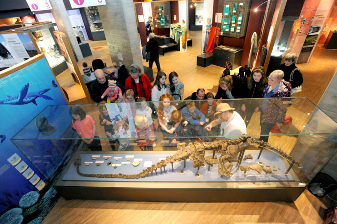 A group of people looking at an exhibit on a tour of The Collection in Lincolnshire