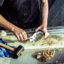 Person shucking an oyster on a cutting board with a mallet, gloves, and oyster shells on a metal counter.