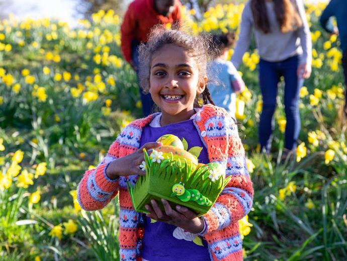 A girl standing in a field of daffodil flowers