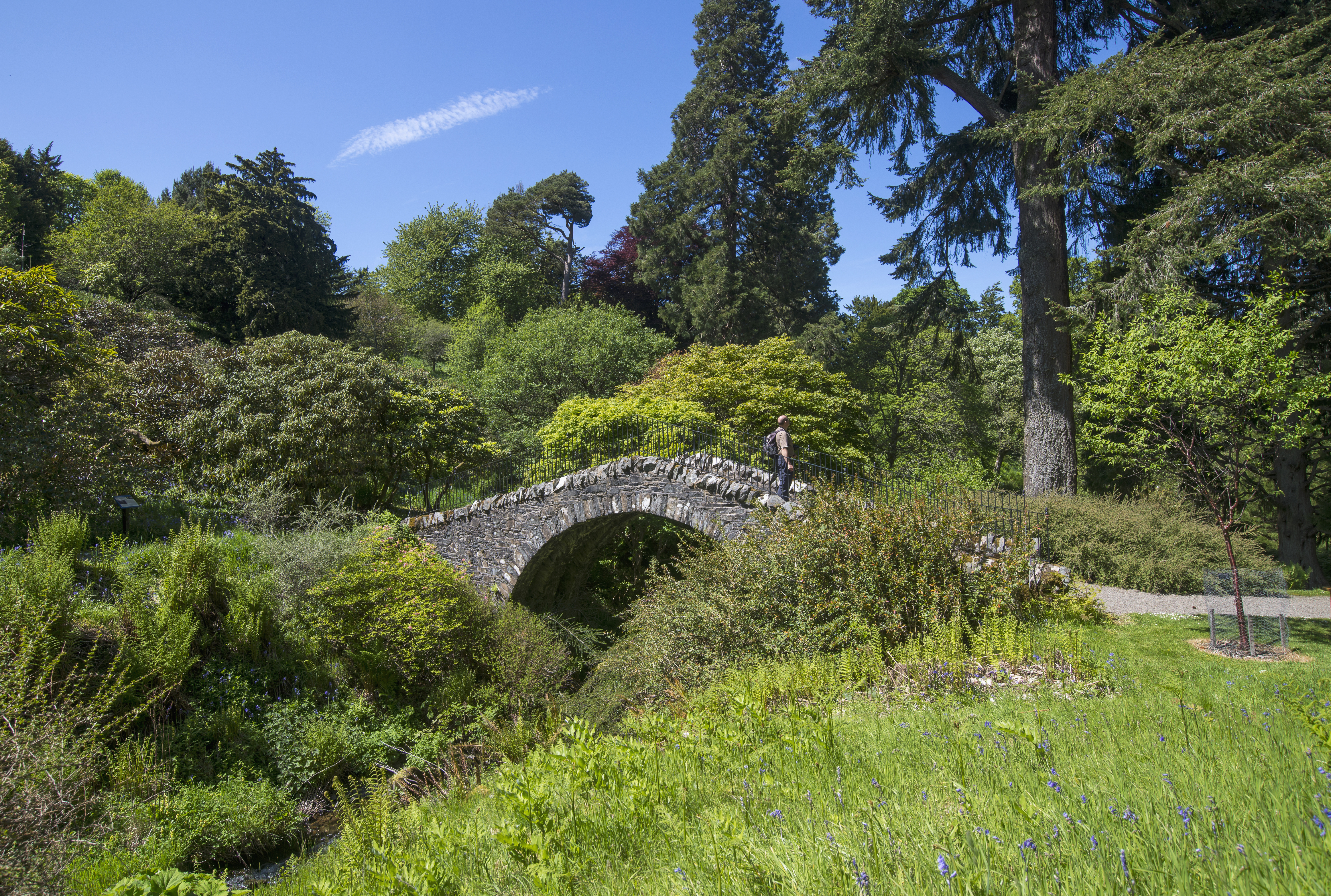 The Swiss Bridge at Dawyck Botanic Garden
