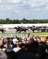 Gran grupo de espectadores viendo una carrera. Caballos de carreras galopando.
