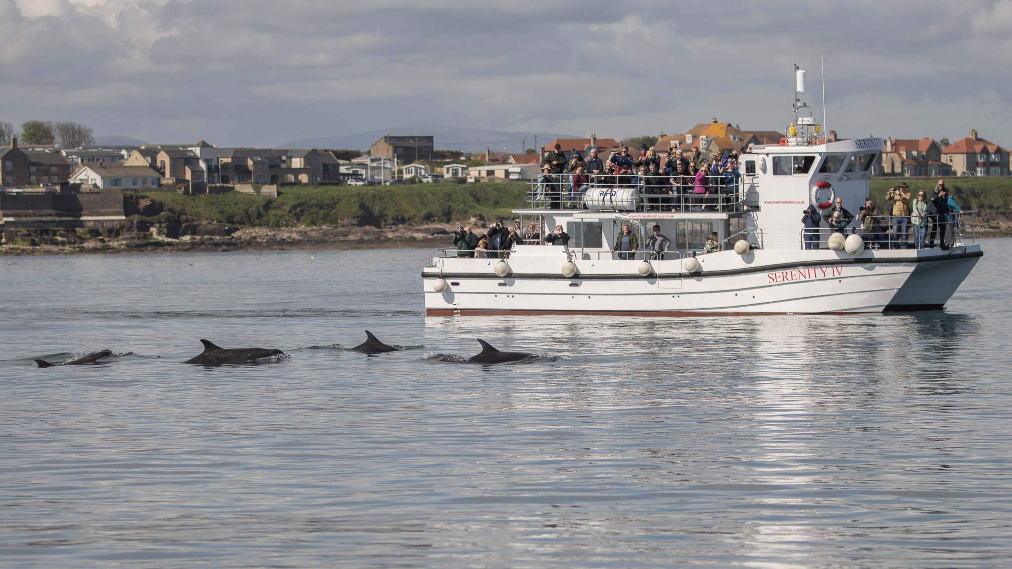 The Serenity IV boat from Serenity Farne Island Boat Trips, Northumberland. 