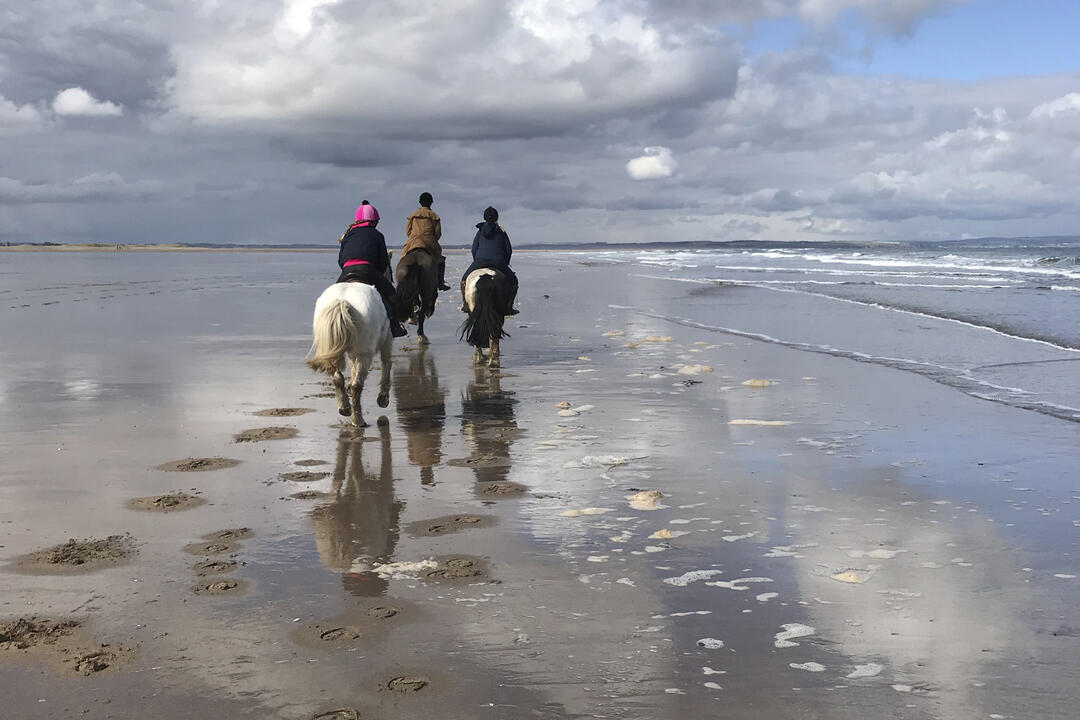 Three people riding ponies along the beach