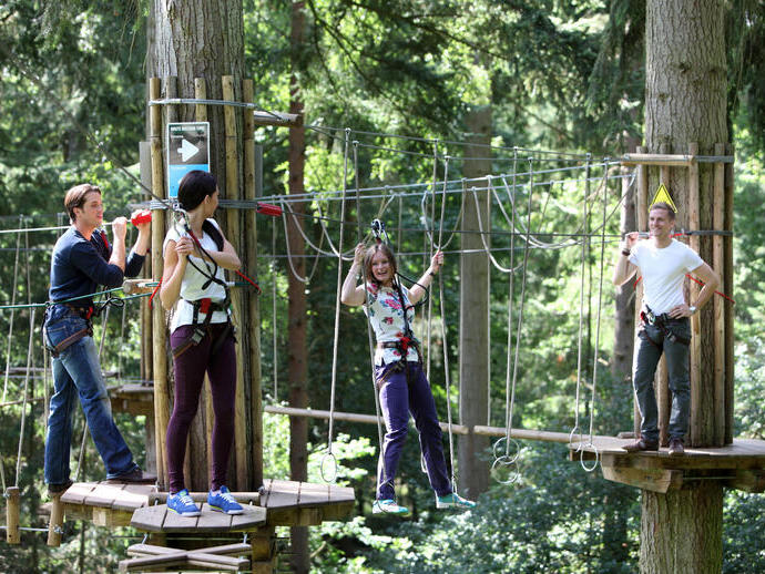Un grupo de personas en las cuerdas flojas en Go Ape, en el bosque de Thetford