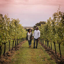 Man and woman walking between rows of vines at a vineyard