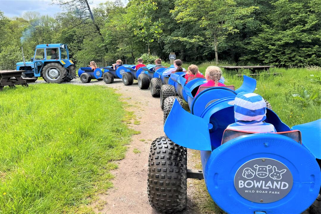 Children being driven around Bowland Wild Boar Park on a land train