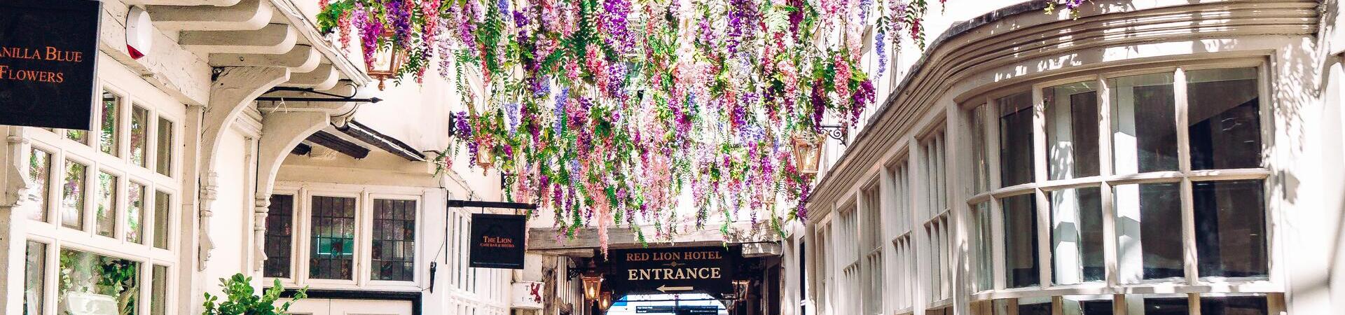 Man walking through arch covered in flowers at Lion Walk, Colchester