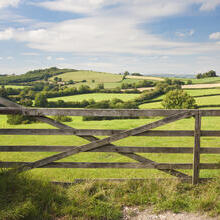 A wooden gate at the entrance of a field looking over to the rolling hills of the countryside
