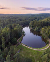 A sweeping view of a large forest and its winding river.
