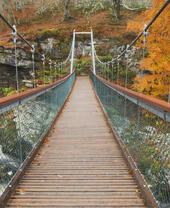 Footbridge over the Blackwater at Rogie in autumn