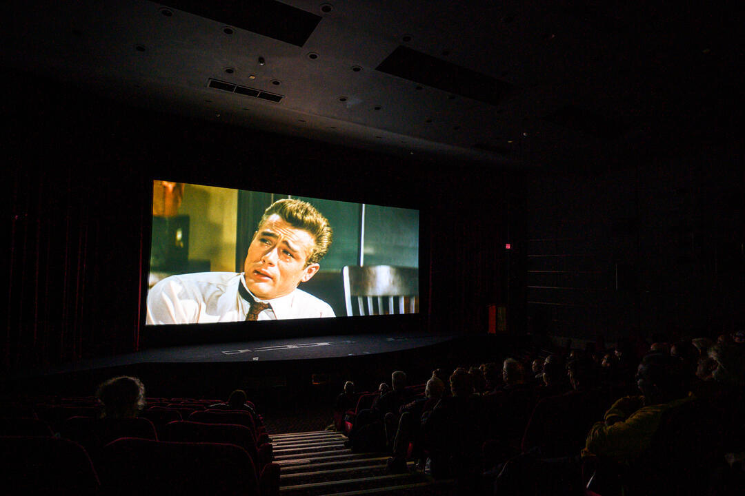 People watching a film in a cinema