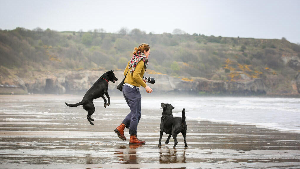 Frau und zwei Hunde am Strand