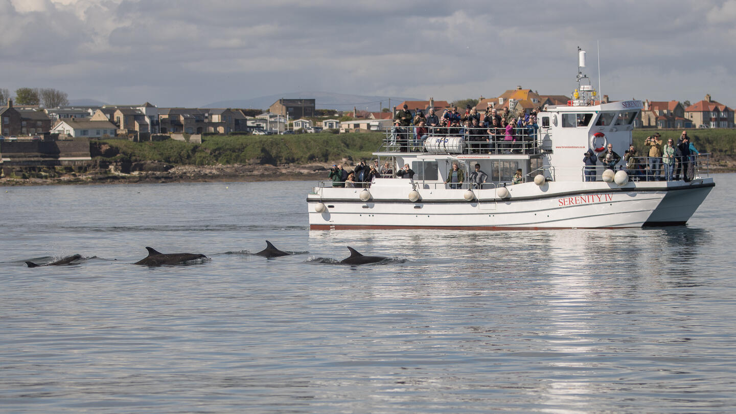 La barca Serenity IV della Serenity Farne Island Boat Trips, Northumberland.