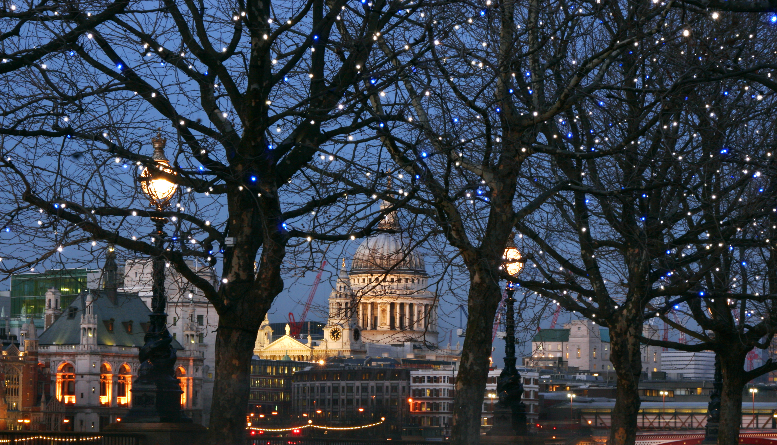 Skyline notturno della città con una cattedrale a cupola e altri edifici illuminati tra gli alberi