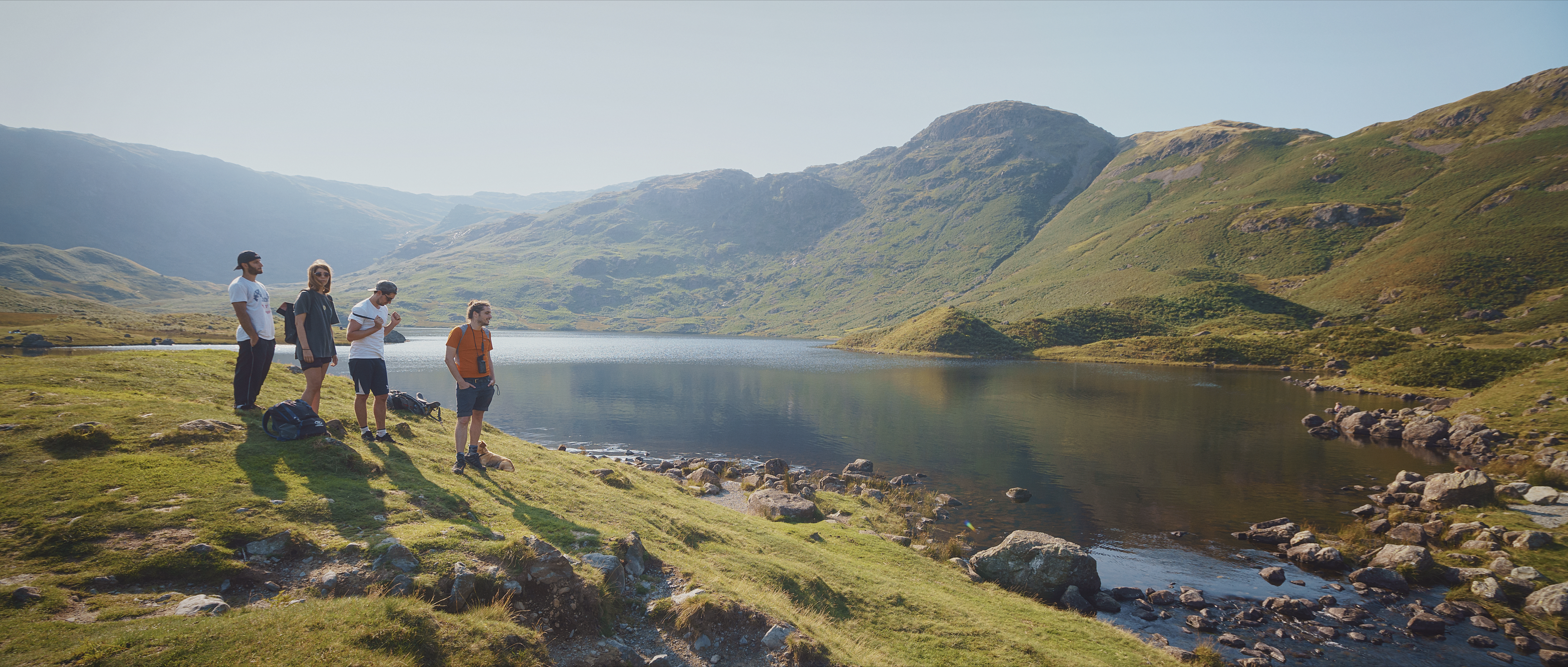 Three men and a woman looking over a lake in the summer 