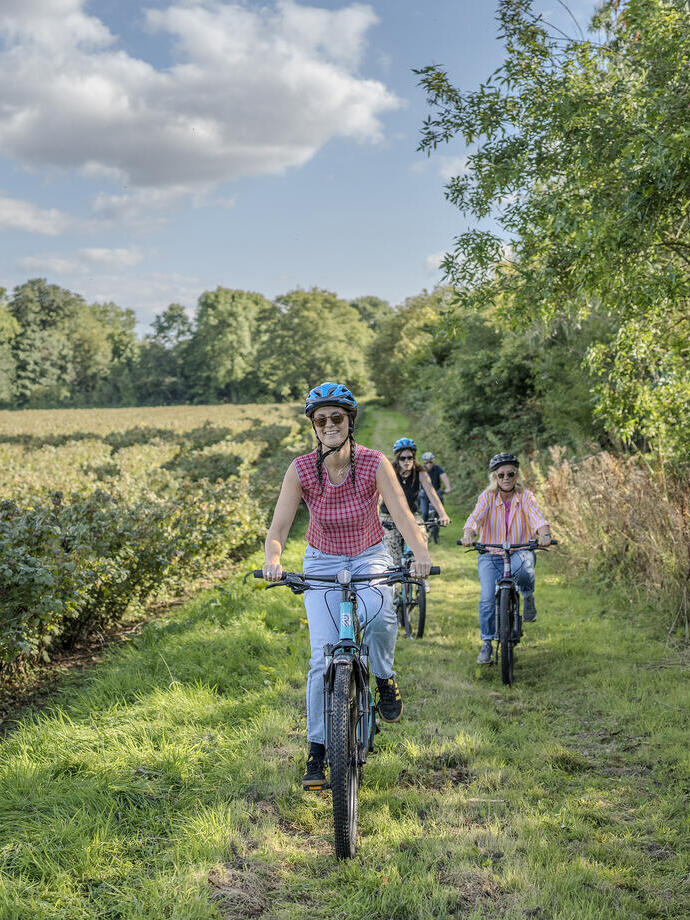 Group of people cycling through a blackcurrant field